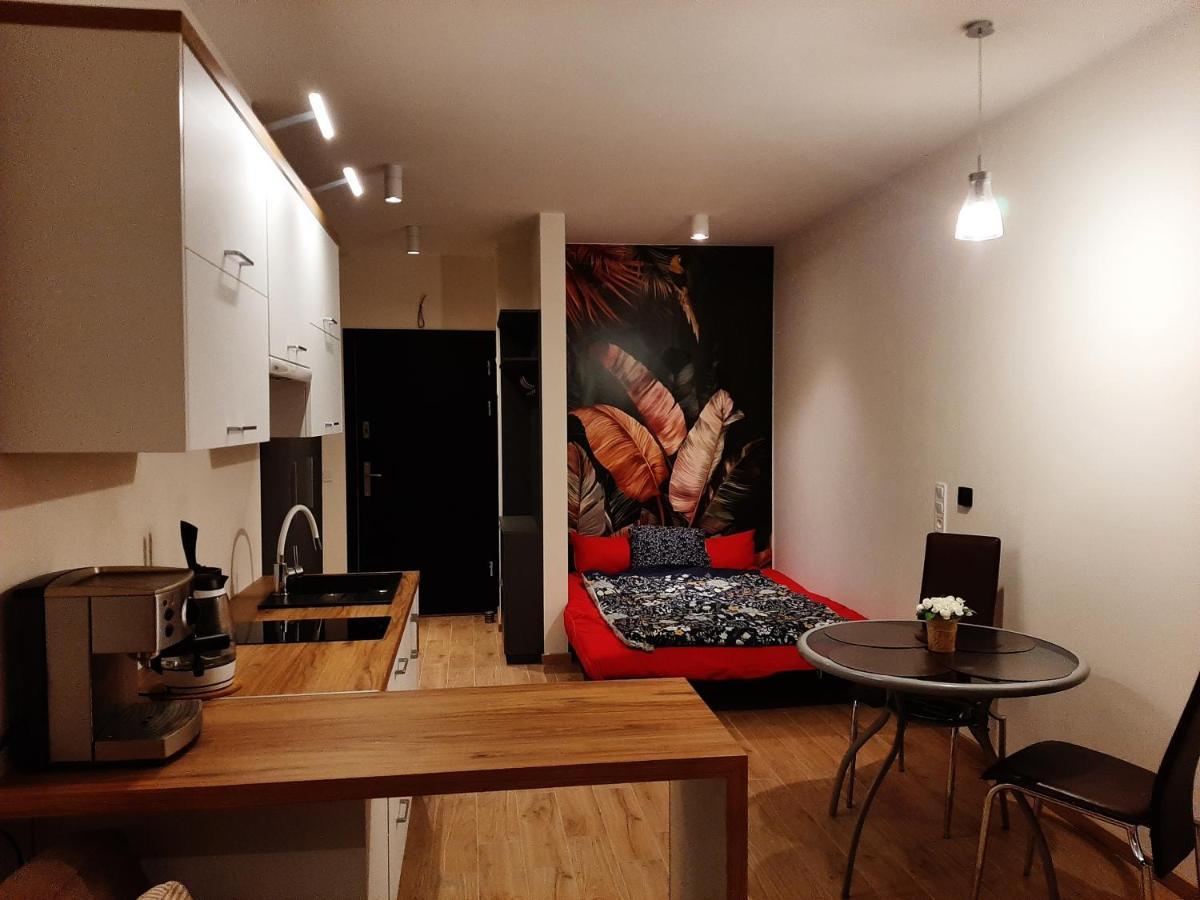 Apartament Pod Szyndzielnia, Debowiec Bielsko-Biała Esterno foto